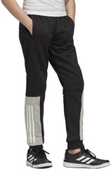 Püksid Adidas Yb Sid Pant Black hind ja info | Poiste püksid | kaup24.ee