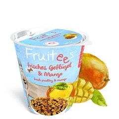 Лакомства для собак Fruitees Mango 0,2kg цена и информация | Лакомства для собак | kaup24.ee