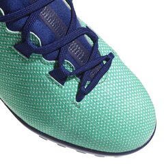 Jalanõud teismelistele Adidas X Tango 17.3 Tf Green цена и информация | Футбольные бутсы | kaup24.ee