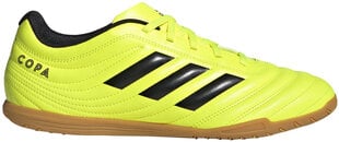 Jalanõud Adidas Copa 19.4 In Yellow hind ja info | Jalgpallijalatsid | kaup24.ee