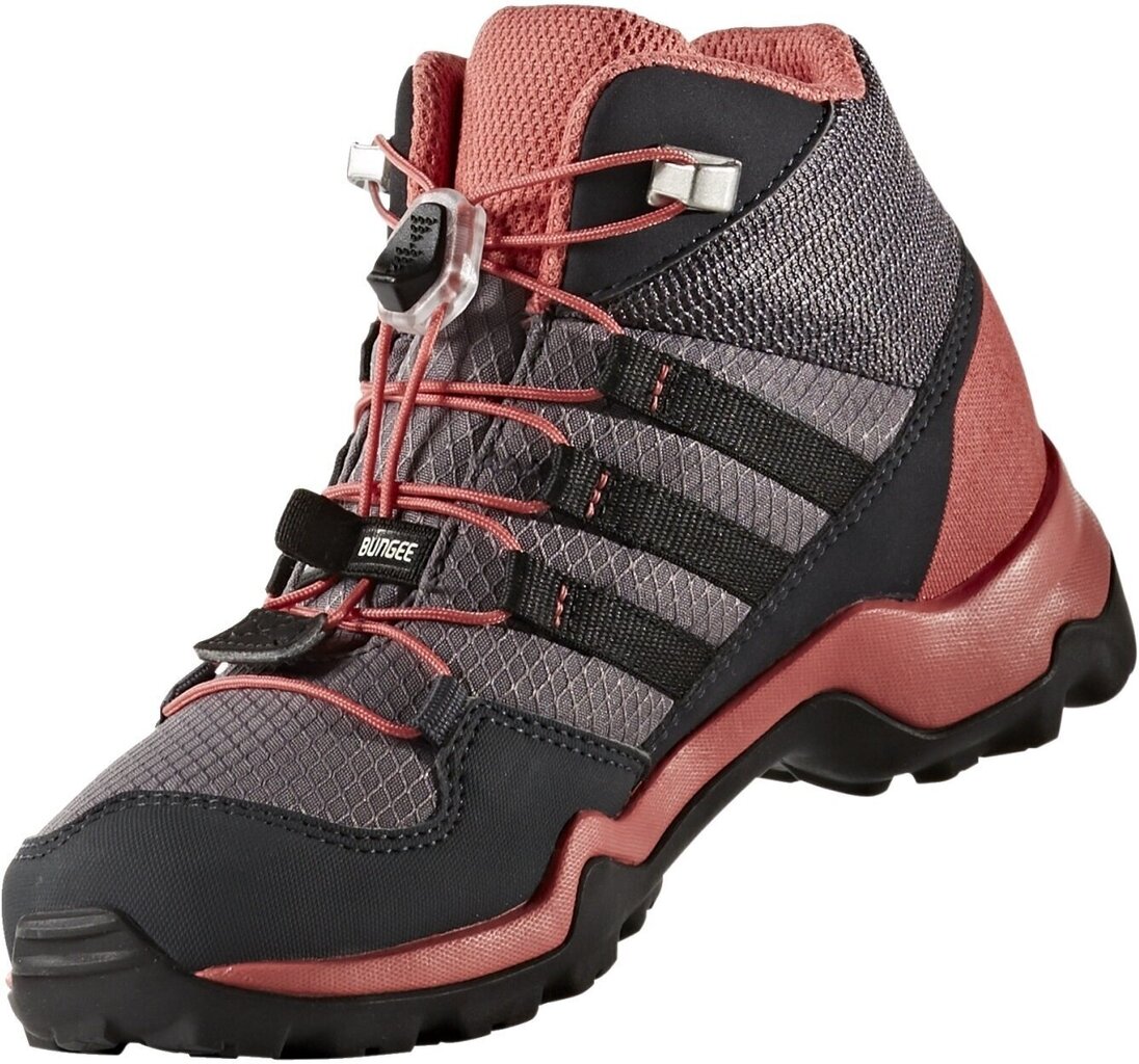 Jalanõud teismelistele Adidas Terrex Mid Gtx Purple Pink hind ja info | Laste saapad | kaup24.ee