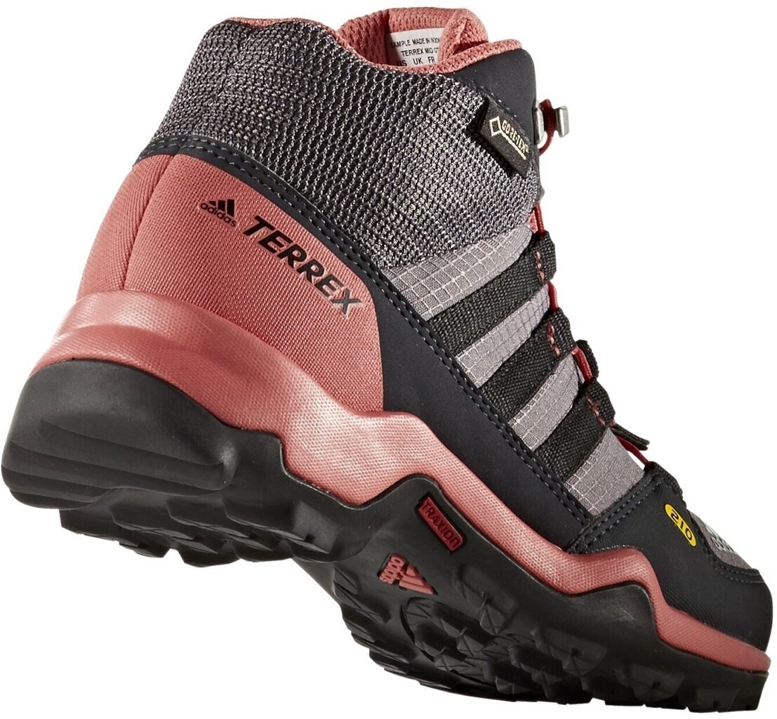 Jalanõud teismelistele Adidas Terrex Mid Gtx Purple Pink цена и информация | Laste saapad | kaup24.ee