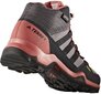 Jalanõud teismelistele Adidas Terrex Mid Gtx Purple Pink hind ja info | Laste saapad | kaup24.ee