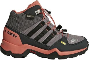 Jalanõud teismelistele Adidas Terrex Mid Gtx Purple Pink hind ja info | Laste saapad | kaup24.ee