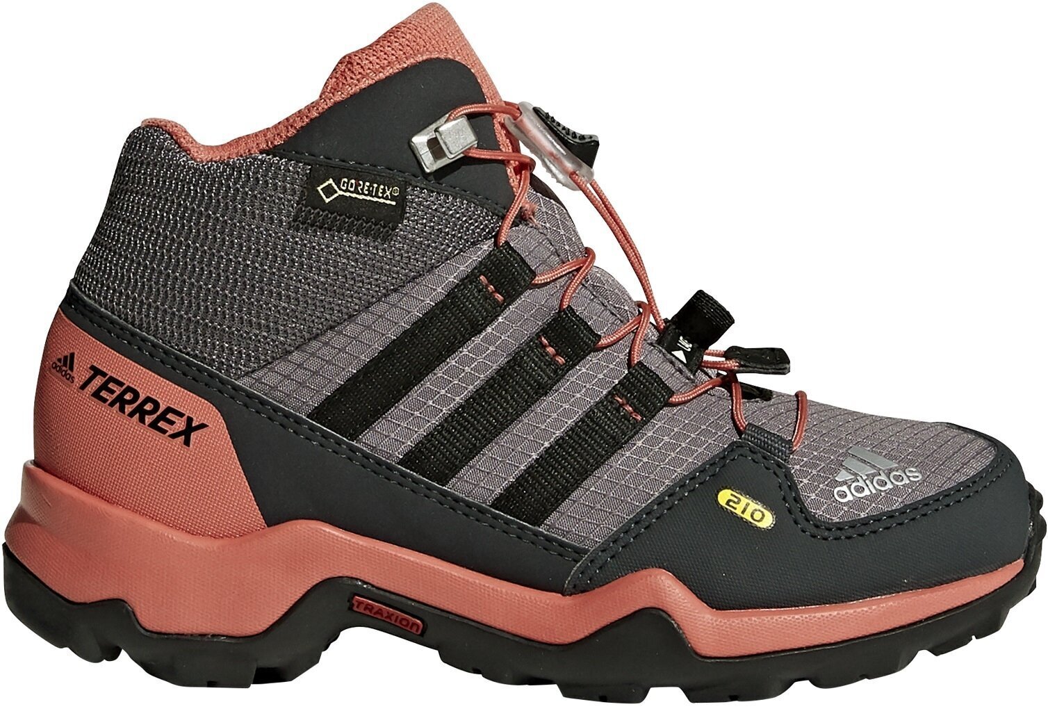 Jalanõud teismelistele Adidas Terrex Mid Gtx Purple Pink цена и информация | Laste saapad | kaup24.ee