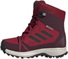 Jalanõud teismelistele Adidas Terrex Snow CP CW K Purple Red hind ja info | Laste saapad | kaup24.ee