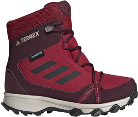 Jalanõud teismelistele Adidas Terrex Snow CP CW K Purple Red hind ja info | Laste saapad | kaup24.ee