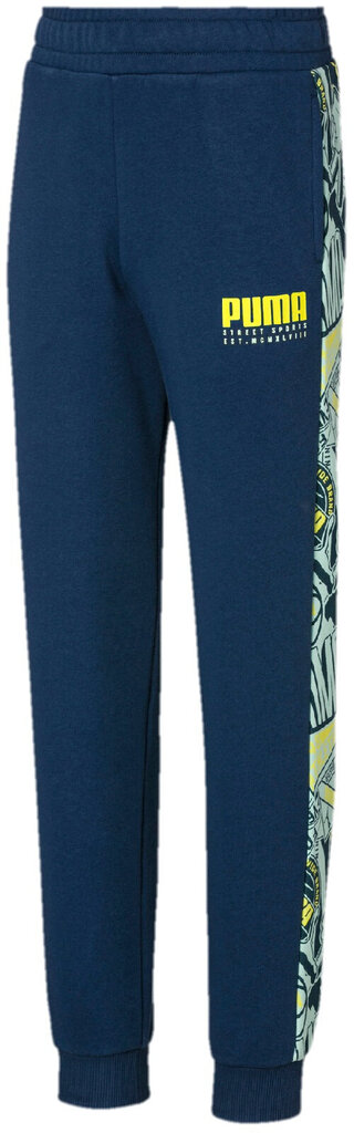 Püksid Puma Alpha Sweat Pants TR CL B D Blue hind ja info | Tüdrukute retuusid, püksid | kaup24.ee