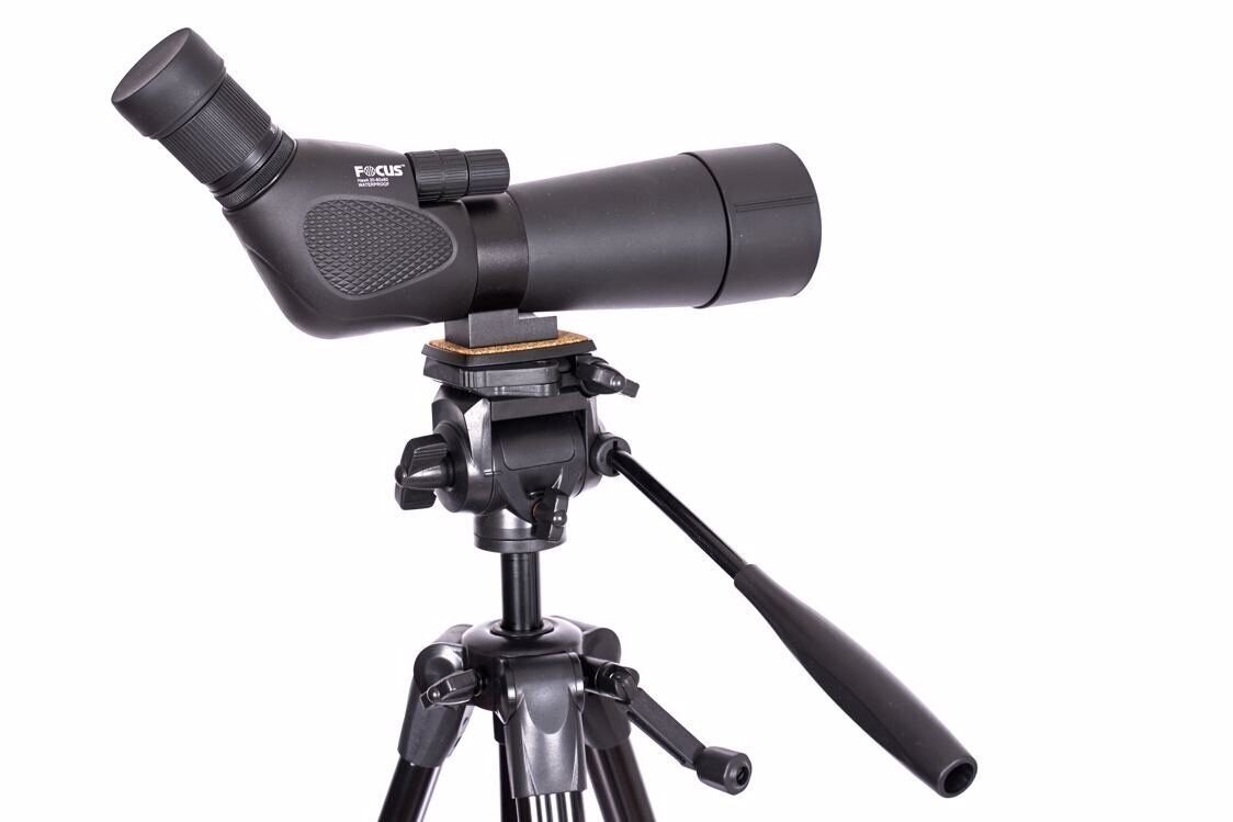 Focus Hawk 20-60X60 + TRIPOD 3950 hind ja info | Binoklid | kaup24.ee