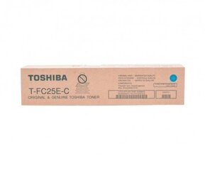 Toshiba 6AJ00000072 цена и информация | Картриджи и тонеры | kaup24.ee