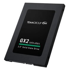 Team Group GX2 (T253X2002T0C101) цена и информация | Внутренние жёсткие диски (HDD, SSD, Hybrid) | kaup24.ee