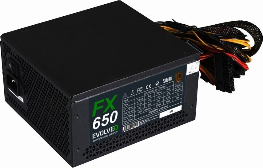 Evolveo FX 650 hind ja info | Toiteplokid (PSU) | kaup24.ee