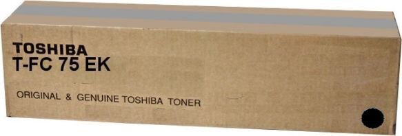 Toshiba 6AK00000252