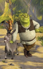 Фотообои Shrek 243.84 x 152.4 cm цена и информация | Детские фотообои | kaup24.ee