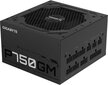 Gigabyte GP-P750G цена и информация | Toiteplokid (PSU) | kaup24.ee