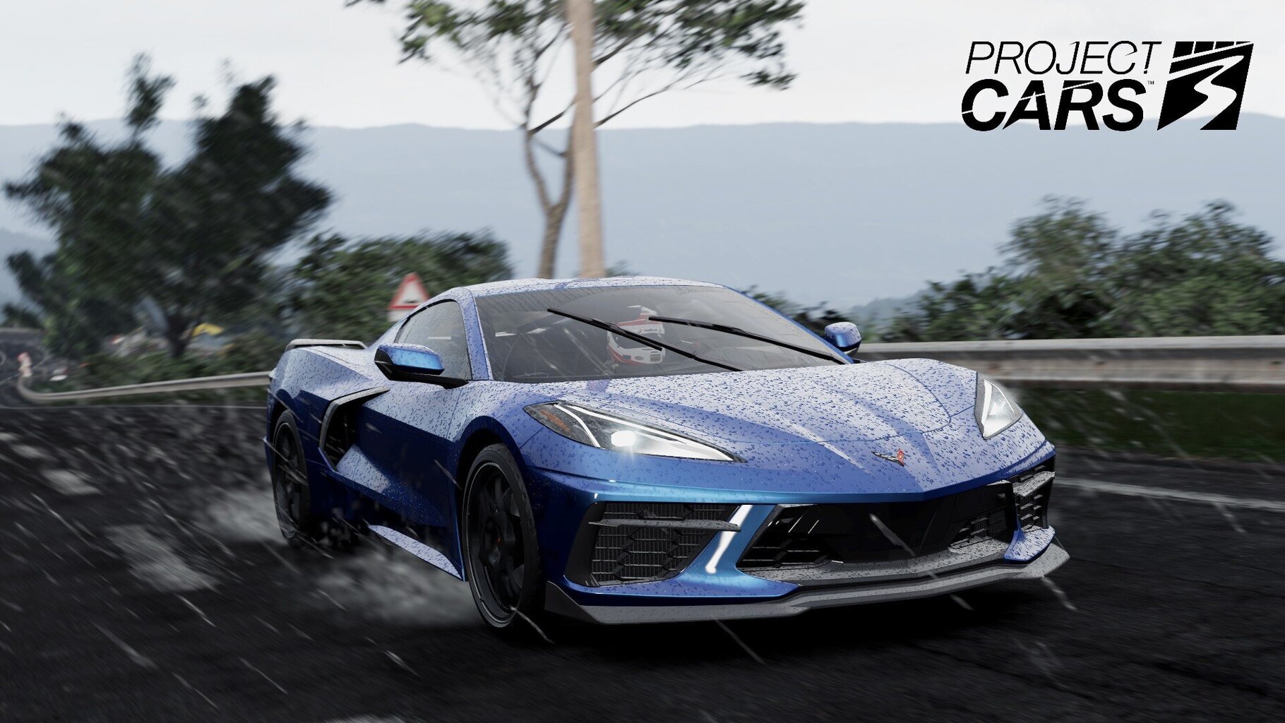 Project Cars 3 (PS4) hind ja info | Arvutimängud, konsoolimängud | kaup24.ee