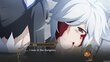 Is It Wrong To Try To Pick Up Girls in A Dungeon? Infinite Combate NSW hind ja info | Arvutimängud, konsoolimängud | kaup24.ee