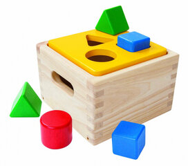 Toode PlanToys "SHAPE & SORT IT OUT" цена и информация | Развивающие игрушки | kaup24.ee