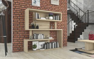 Полка ADRK Furniture Felipe, 152x151 см, цвета дуба цена и информация | Полки | kaup24.ee