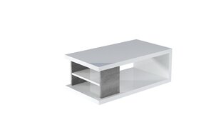 Журнальный столик ADRK Furniture Luke, белый/серый цена и информация | Журнальные столики | kaup24.ee