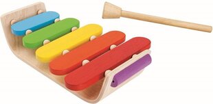 Музыкальный инструмент PlanToys Oval Xylophone цена и информация | Развивающие игрушки | kaup24.ee