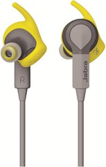 Jabra Sport Coach с приложением тренировок, Желтый цена и информация | Наушники | kaup24.ee