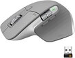 Logitech 910-005695, hall цена и информация | Hiired | kaup24.ee