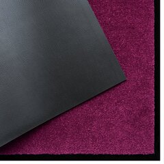 Дверной коврик Violet 40x60 см цена и информация | Придверные коврики | kaup24.ee