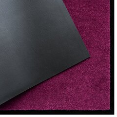 Uksematt Violet 80x120 cm цена и информация | Придверные коврики | kaup24.ee