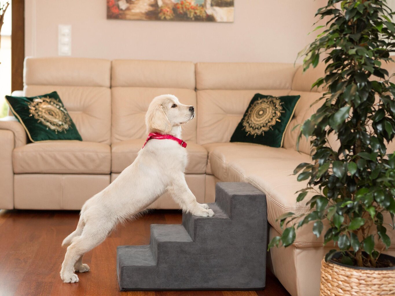 Hobbydog trepp Savoy 4, tumehall, 60x40x40 cm цена и информация | Pesad, padjad | kaup24.ee
