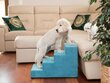 Hobbydog trepp Savoy 4, türkiis, 60x40x40 cm hind ja info | Pesad, padjad | kaup24.ee