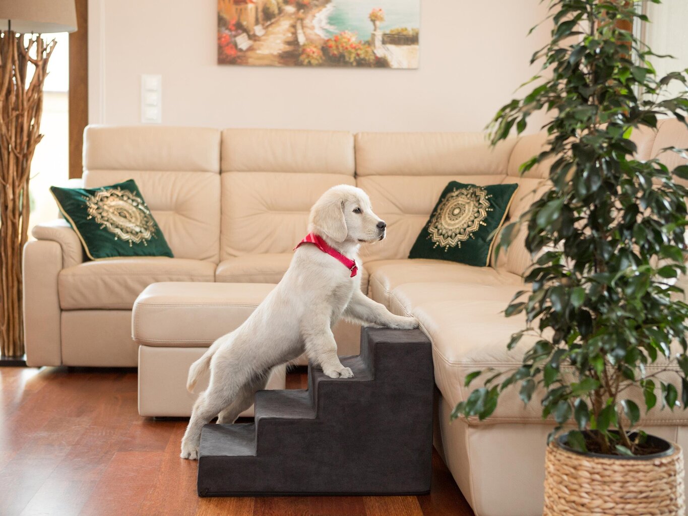 Hobbydog trepp Savoy 4, must, 60x40x40 cm цена и информация | Pesad, padjad | kaup24.ee