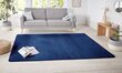 Vaip Hanse Home Nasty 67x120 cm цена и информация | Vaibad | kaup24.ee