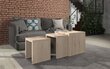 3-laua komplekt ADRK Furniture Basel, tamme värvi hind ja info | Diivanilauad | kaup24.ee