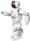 Robot puldiga Silverlit Program A Bot X hind ja info | Poiste mänguasjad | kaup24.ee
