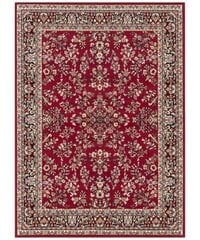 Vaip Oriental 120x160 cm hind ja info | Vaibad | kaup24.ee