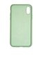 Full protection Set - silikoonist ümbris + ekraani kaitseklaas telefonile iPhone X/XS roheline (green tea) hind ja info | Telefoni kaaned, ümbrised | kaup24.ee