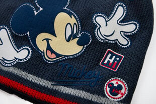 Disney Mickey Mouse talvine sügisene mütsi ja kinnaste komplekt poisile TH4173.NAVY hind ja info | Naiste mütsid ja peapaelad | kaup24.ee