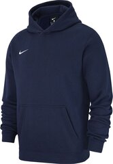 Джемпер Nike PO FLC TM Club 19 Jr AJ1544-451, 46375 цена и информация | Свитеры, жилетки, пиджаки для мальчиков | kaup24.ee
