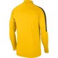 Dressipluus Nike Dry Academy 18 Drill Top LS M 893624 719, 45283 hind ja info | Meeste pusad | kaup24.ee