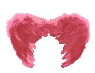 Крылья розовые с перьями 50х35см 10154 цена и информация | Карнавальные костюмы | kaup24.ee