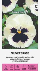 Võõrasema Silverbrige цена и информация | Семена цветов | kaup24.ee