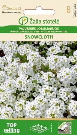 Kivikilbik Snowcloth hind ja info | Lilleseemned | kaup24.ee