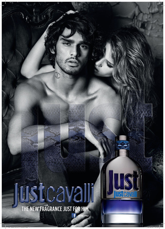 Meeste parfüüm Just Cavalli Roberto Cavalli EDT: Maht - 50 ml цена и информация | Meeste parfüümid | kaup24.ee