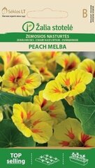 Низкая настурция Peach melba цена и информация | Семена цветов | kaup24.ee