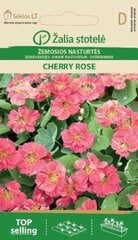 Низкая настурция  Cherry rose цена и информация | Зайцехвост яйцевидный | kaup24.ee