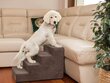 Hobbydog trepp Savoy 4, pruun, 60x40x40 cm цена и информация | Pesad, padjad | kaup24.ee