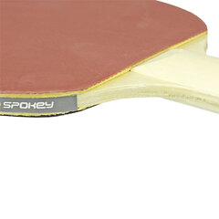 Lauatennise reket Spokey Training hind ja info | Spokey Lauatennis | kaup24.ee