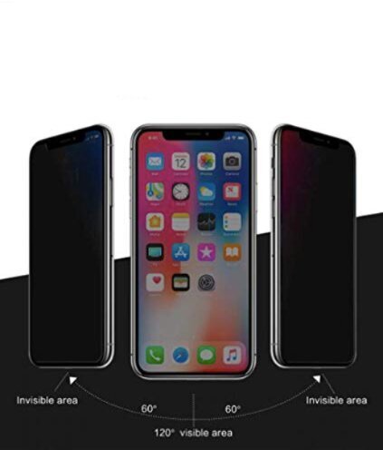 Ekraani kaitseklaas PRIVACY telefonile iPhone X/XS/11PRO, Tempered glass Full Glue, Full Cover SOUNDBERRY hind ja info | Ekraani kaitsekiled | kaup24.ee