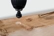 Wolfcraft süvistuspuur puidule 6,12,16 mm, trellile цена и информация | Käsitööriistad | kaup24.ee